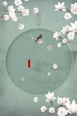 中医养生馆女性私密大保健